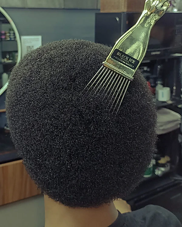 Afro redondo y parejo, visto desde atrás, con un peine dorado clavado